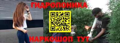 стаф Тара