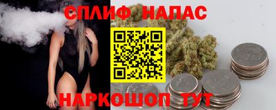 стаф Тара
