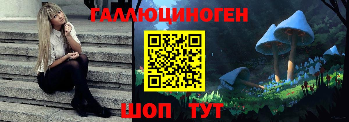 Галлюциногенные грибы Psilocybine cubensis Нижний Новгород
